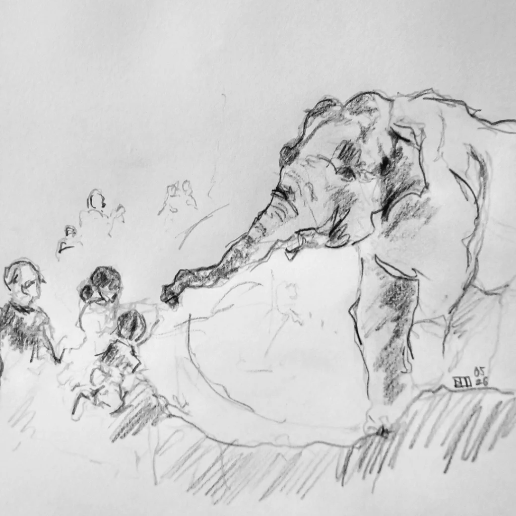 Elefant im Zoo