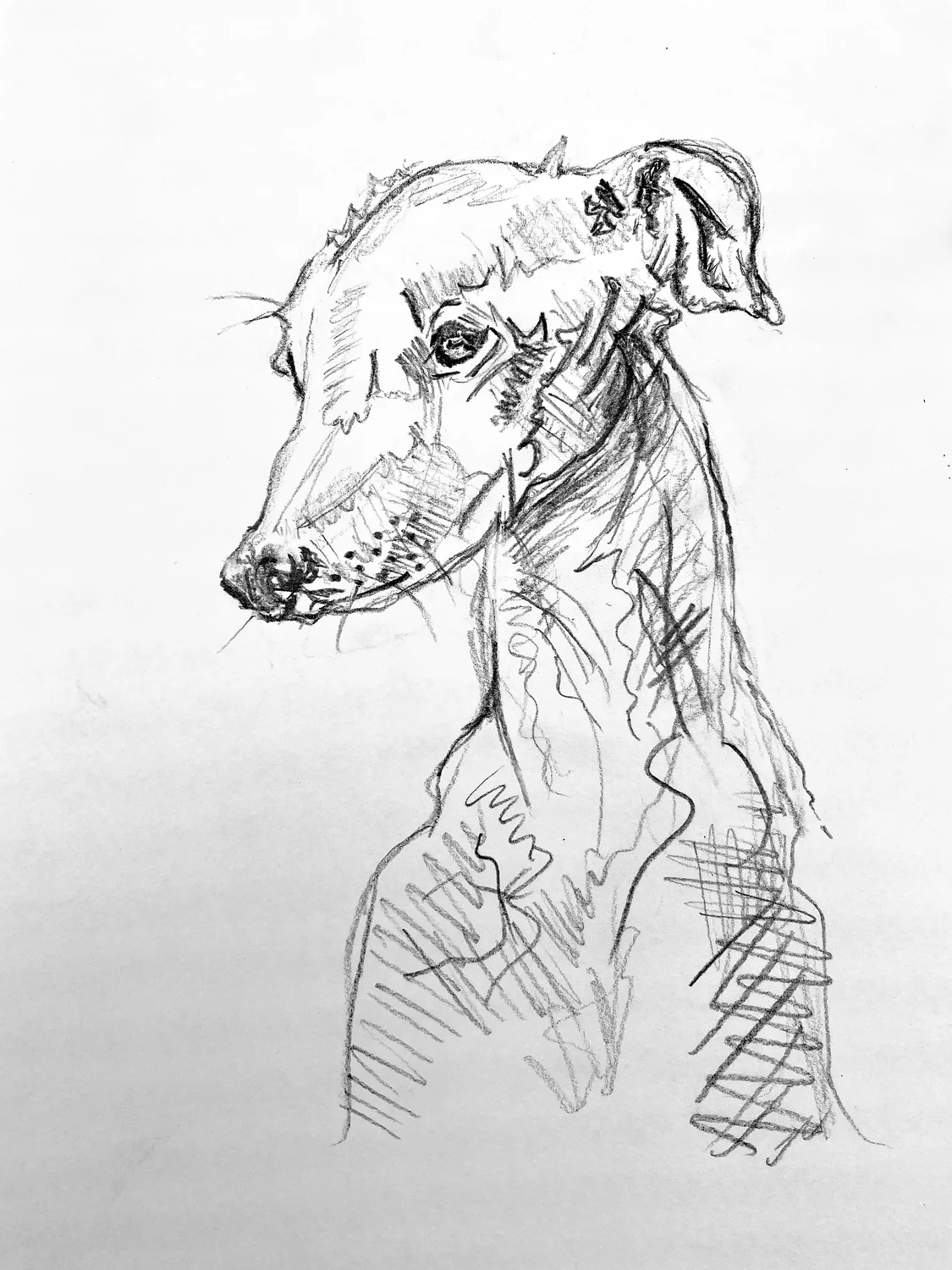 Zeichnen Hunde